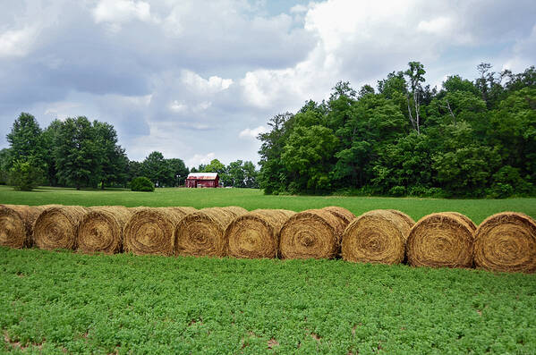 Hay Poster featuring the photograph Hay Day by Steven Michael