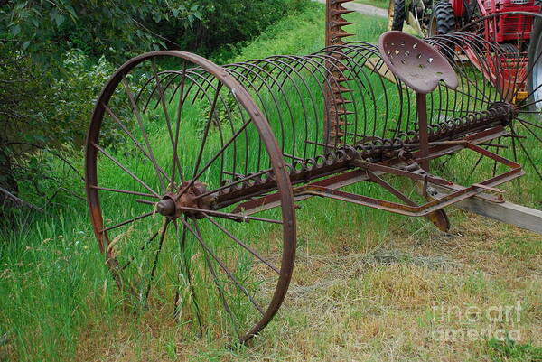 Hay Poster featuring the photograph Hay Rake by Ron Roberts