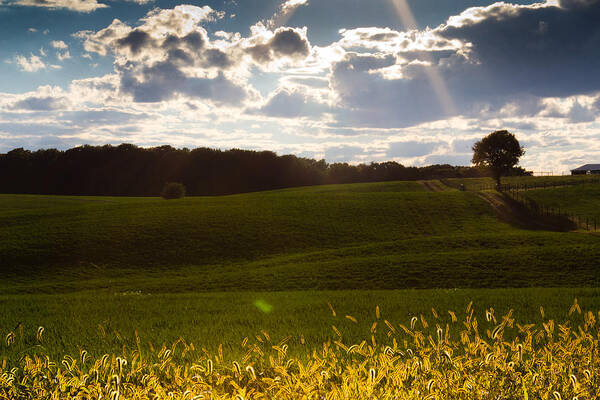 Landscape Poster featuring the photograph Heart of Nature by Everett Houser