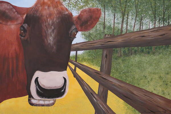 Cow Poster featuring the painting Here's Looking at Moo by Tim Townsend