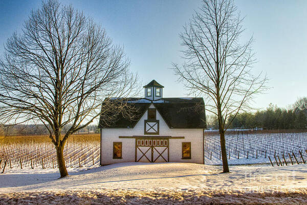 Hidden Bench Poster featuring the photograph Hidden Bench Winter Scene by Marilyn Cornwell