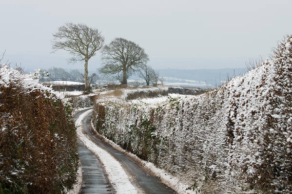 Bradninch Poster featuring the photograph Hill top lane in snow by Pete Hemington
