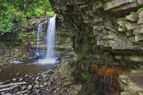 Hilton Falls Poster featuring the photograph Hilton Falls in Summer by Gary Hall
