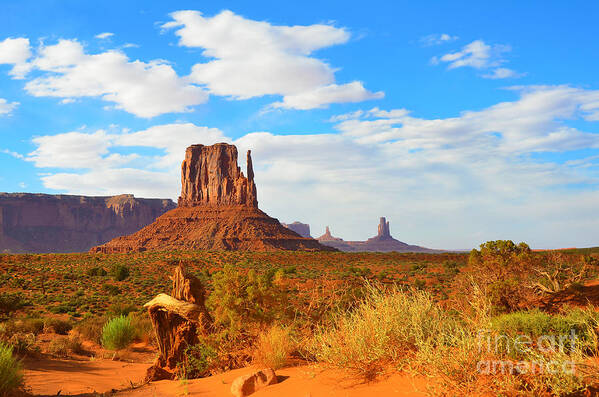 Monument Valley Poster featuring the photograph Historic Monument Valley by Debra Thompson