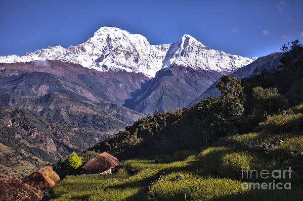 Annapurna Poster featuring the photograph Holy Annapurna South Photo By Artmif HDR by Raimond Klavins