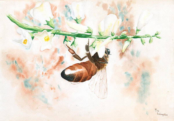 Bee Poster featuring the painting Honey Bee by Timothy Livingston