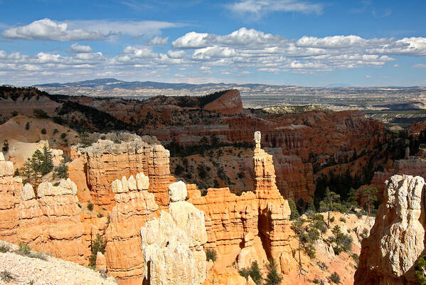 Bryce Poster featuring the photograph Hoodoos in the Sunlight in Bryce Canyon NP by Jean Clark