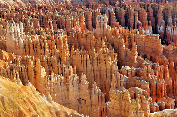 Hoodoos Poster featuring the photograph Hoodoos Of Bryce Canyon by Dan Myers