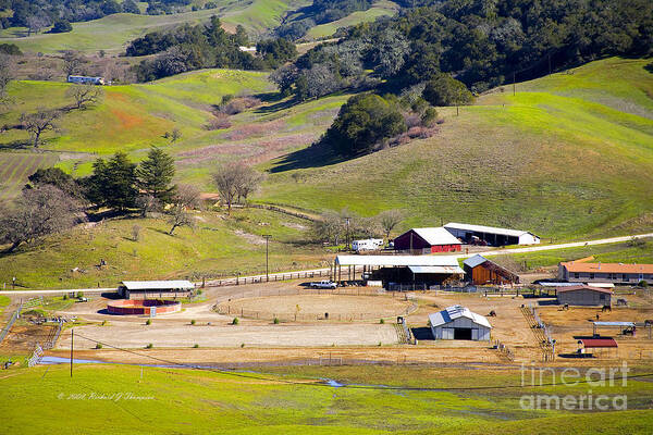 Horizontal Poster featuring the photograph Horse Ranch by Richard J Thompson 