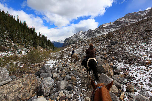 Horses Poster featuring the photograph Horseback Riding In Plain Of Six Glaciers Alberta by Nick Jene