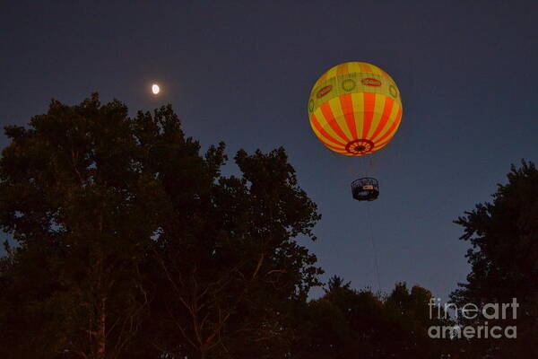 Hot Air Balloon Poster featuring the photograph Hot Air Balloon at Night by Amy Lucid