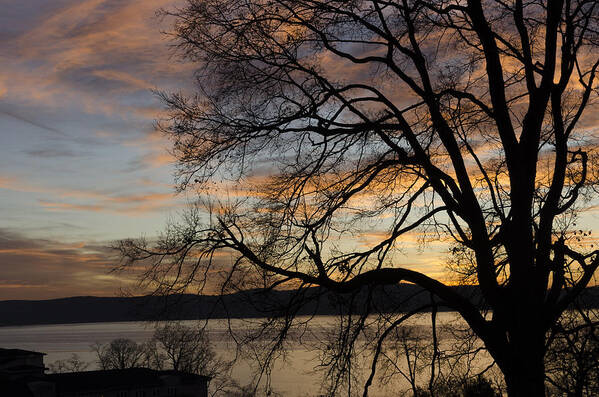 Tree Poster featuring the photograph Hudson River winter landscape at sunset by Marianne Campolongo