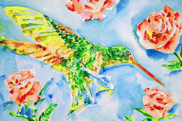 Hummingbird Poster featuring the painting HUMMINGBIRD in the ROSES by Fabrizio Cassetta