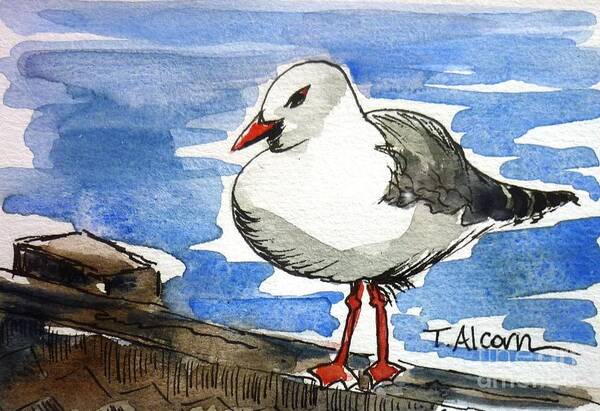 Seagull Poster featuring the painting Hungry Seagull - original Sold by Therese Alcorn