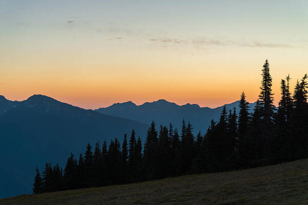 Olympic National Park Poster featuring the photograph Hurricane Ridge Sunset by Kristopher Schoenleber