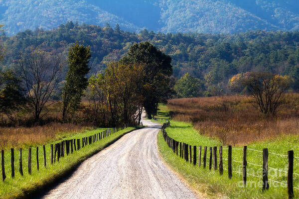 Cades Cove Poster featuring the photograph Hyatt Lane by Deborah Scannell