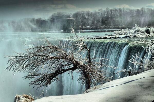 Niagara Falls Poster featuring the photograph Ice covered tree by Douglas Pike