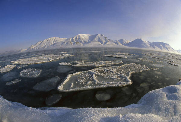 Feb0514 Poster featuring the photograph Ice Floes And Mountains Svalbard Norway by Colin Monteath