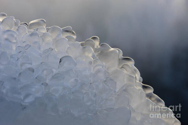 Frozen Poster featuring the photograph Ice Forms In Nature by John Shaw