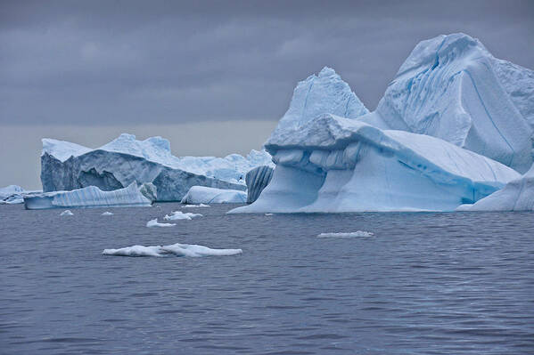 Arctic Poster featuring the photograph Icebergs in Blue No. 5 by Michele Burgess