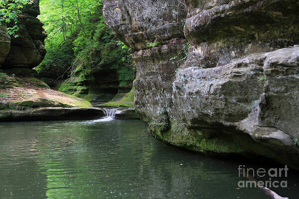 Landscape Poster featuring the photograph Illinois Canyon May 2014 by Paula Guttilla