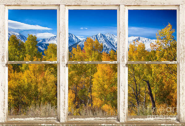 Autumn Poster featuring the photograph Independence Pass Autumn White Peeling Window View by James BO Insogna