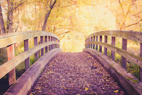 Landscape Poster featuring the photograph Into the Light by Sara Frank