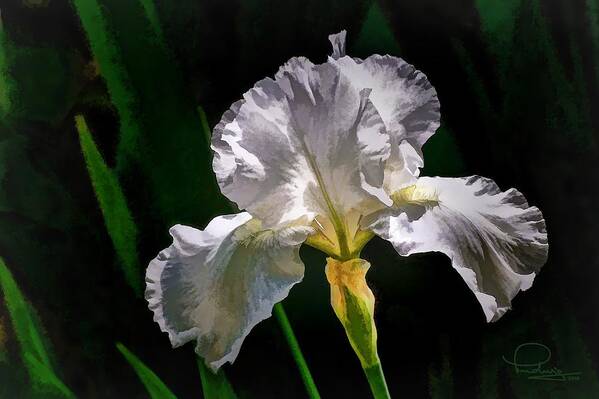 Iris Poster featuring the digital art Iris by Ludwig Keck