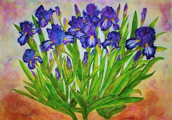 Iris Poster featuring the painting Irises by Janet Immordino