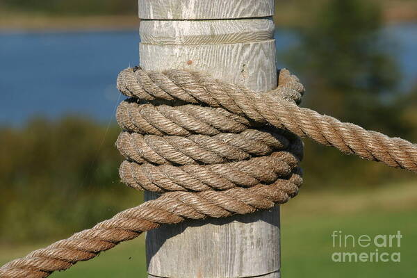 Pe Poster featuring the mixed media Island Ropework by Art MacKay