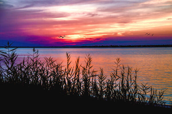 Sunset Poster featuring the photograph Island Sunset by Cathy Kovarik