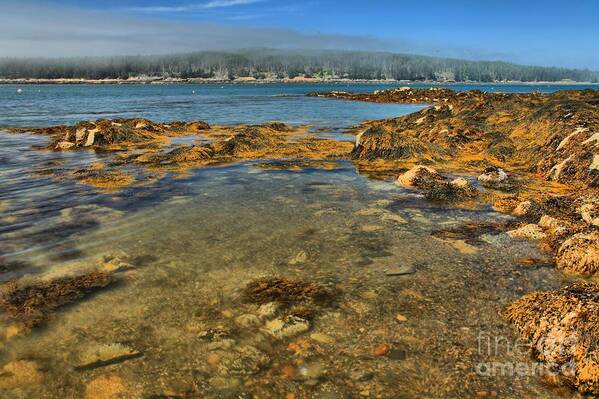 Acadia National Park Poster featuring the photograph Isle au Haut Beach by Adam Jewell