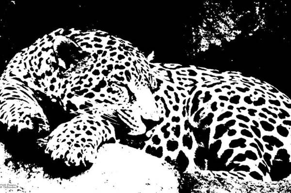 Teresa Blanton Poster featuring the photograph Jaguar In Reverse by Teresa Blanton