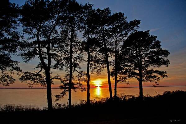 Newport News Poster featuring the photograph James River Sunset by Suzanne Stout