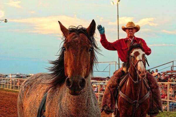 Cowboys Poster featuring the photograph Johnnie and Zeke by Toni Hopper