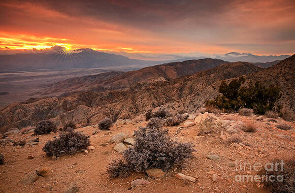 Joshua Tree National Park Poster featuring the photograph Joshua Tree National Park Keys View Sunset by Charline Xia