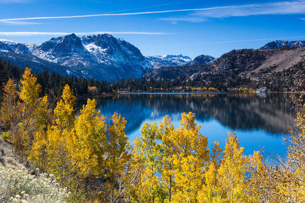 June Lake Poster featuring the photograph June Lake by Tassanee Angiolillo
