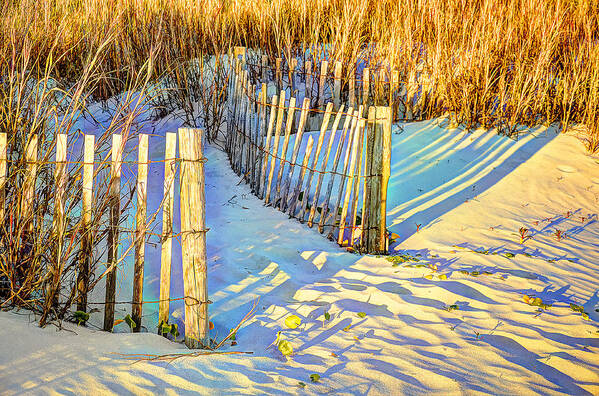 Beach Poster featuring the photograph Just Beachy by Craig Burgwardt