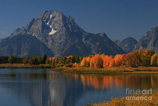 Oxbow Bend Poster featuring the photograph Kayak at Oxbow Bend by Clare VanderVeen