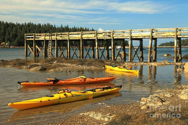 Acadia National Park Poster featuring the photograph Kayaks By The Pier by Adam Jewell