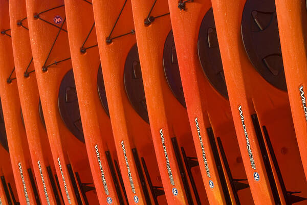 Kayaks Poster featuring the photograph Kayaks No. 3 by John Greco