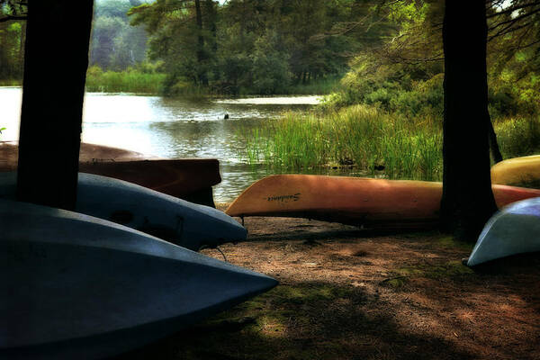 Kayak Poster featuring the photograph Kayaks on the Shore by Michelle Calkins