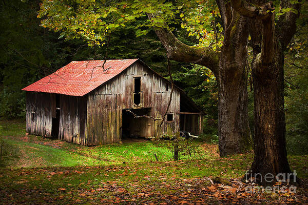 Kentucky Poster featuring the photograph Kentucky Barn by Lena Auxier