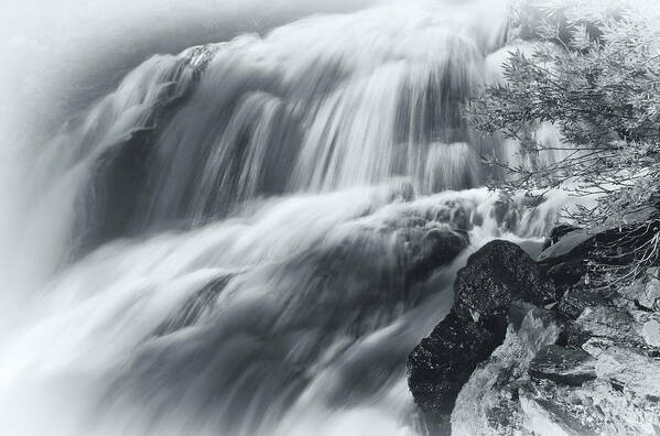 Nature Poster featuring the photograph King Creek Falls by Jonathan Nguyen