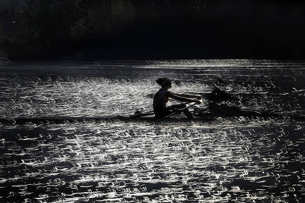 Lake Poster featuring the photograph Lace Of Lake by Milan Malovrh