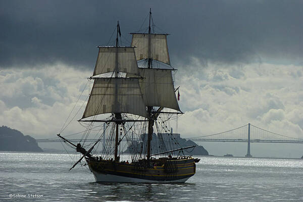 Tall Ship Poster featuring the photograph Lady Washington by Sabine Stetson