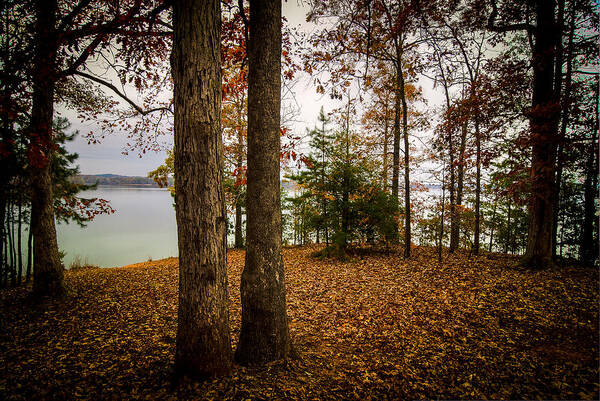 Campgrounds Poster featuring the photograph Lake Hartwell Autumn by Steve DuPree