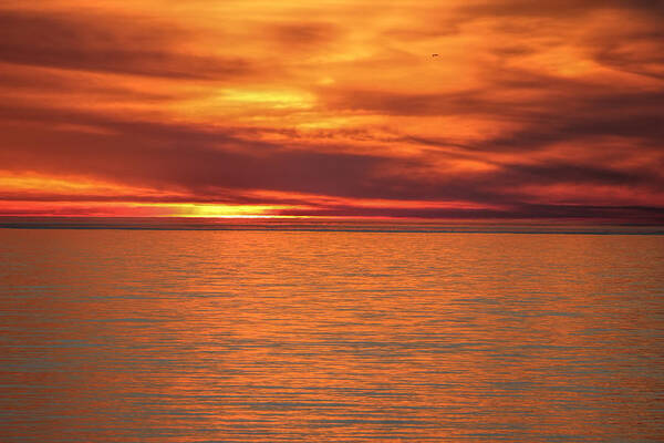 Sunset Poster featuring the photograph Lake Ontario by Becca Buecher