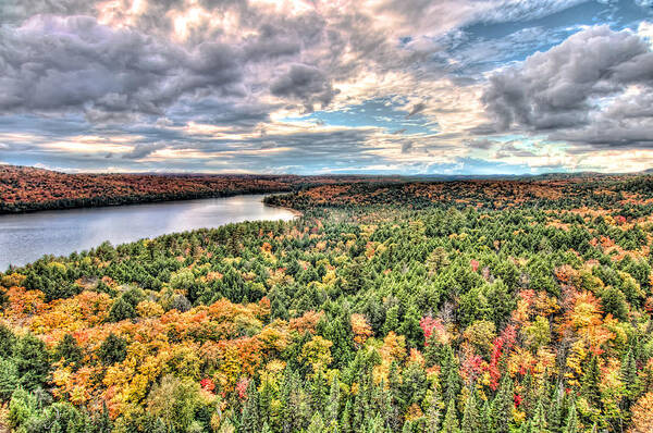 Algonquin Park Poster featuring the photograph Lake Point by James Wheeler