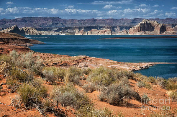 Lake Powell Poster featuring the photograph Lake Powell by Claudia Kuhn